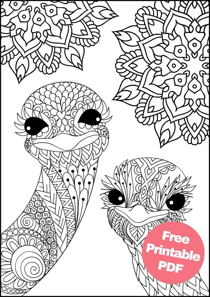 Free Bird Printable Coloring Pages for Adults Colouring Book Mandala Emu Ostritch Cute Funny