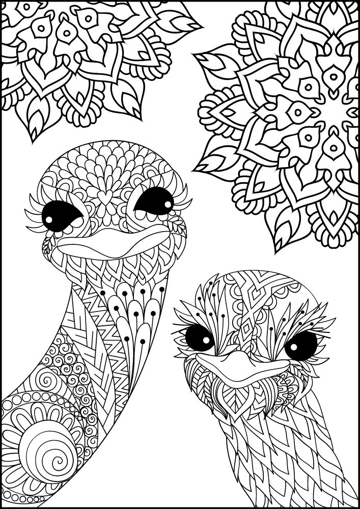 Free Bird Printable Coloring Pages for Adults Colouring Book Mandala Emu Ostritch Cute Funny