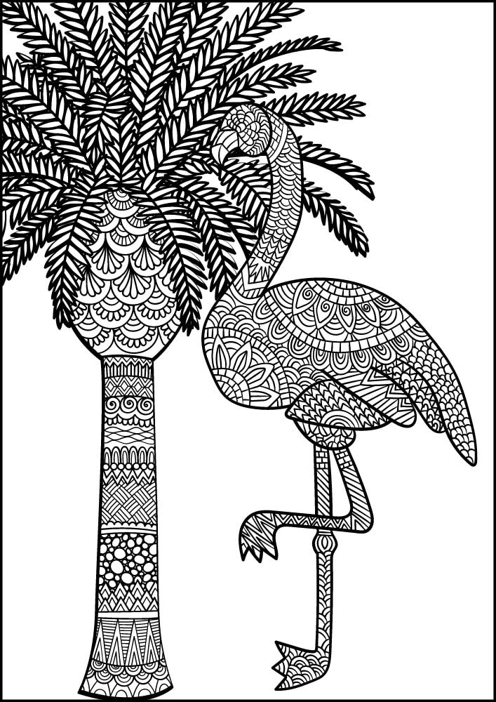 Free Bird Printable Coloring Pages for Adults Colouring Book Mandala Flamingo Palm tree Tropical