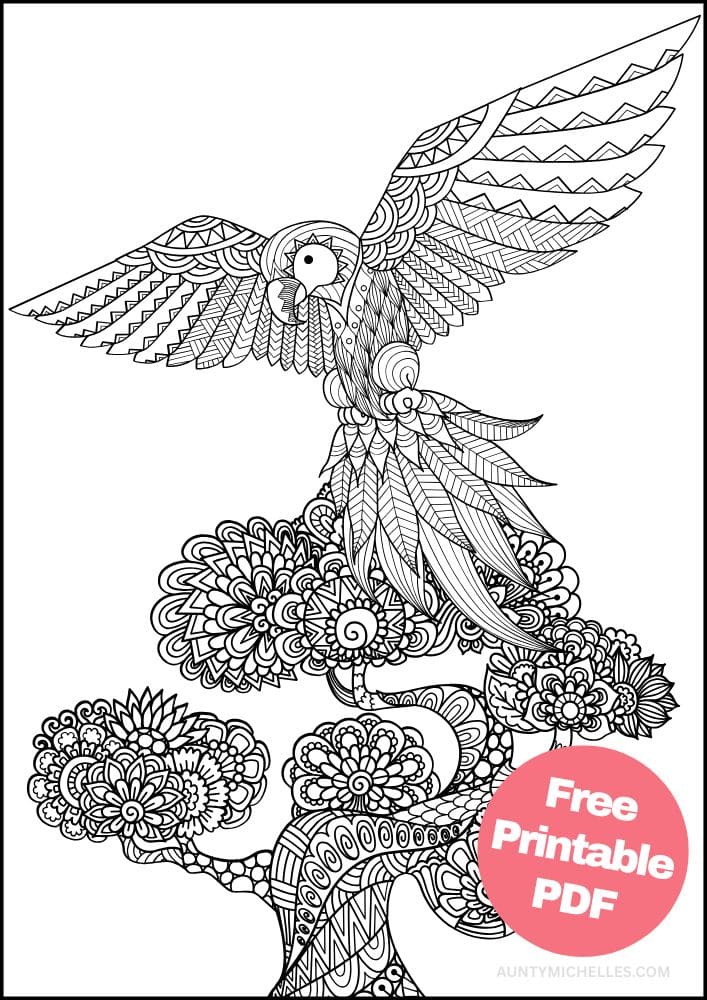 Free Bird Printable Coloring Pages for Adults Colouring Book Mandala Parrot Flying Tree Tropical