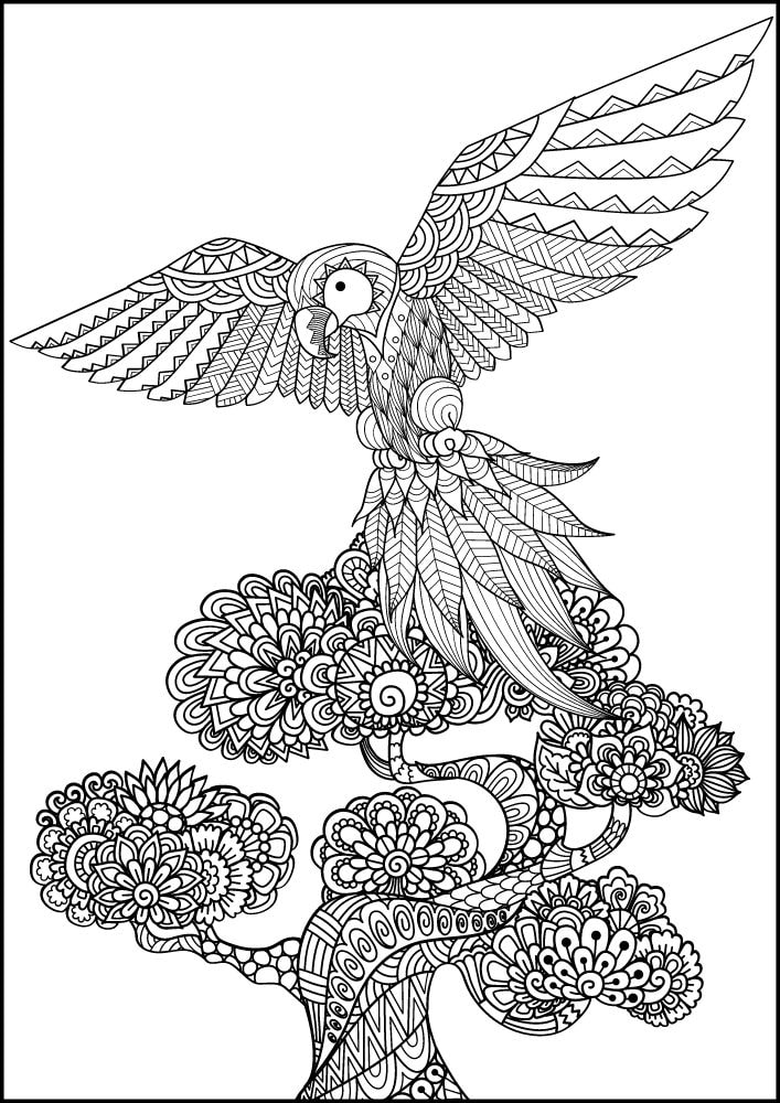 Free Bird Printable Coloring Pages for Adults Colouring Book Mandala Parrot Flying Tree Tropical