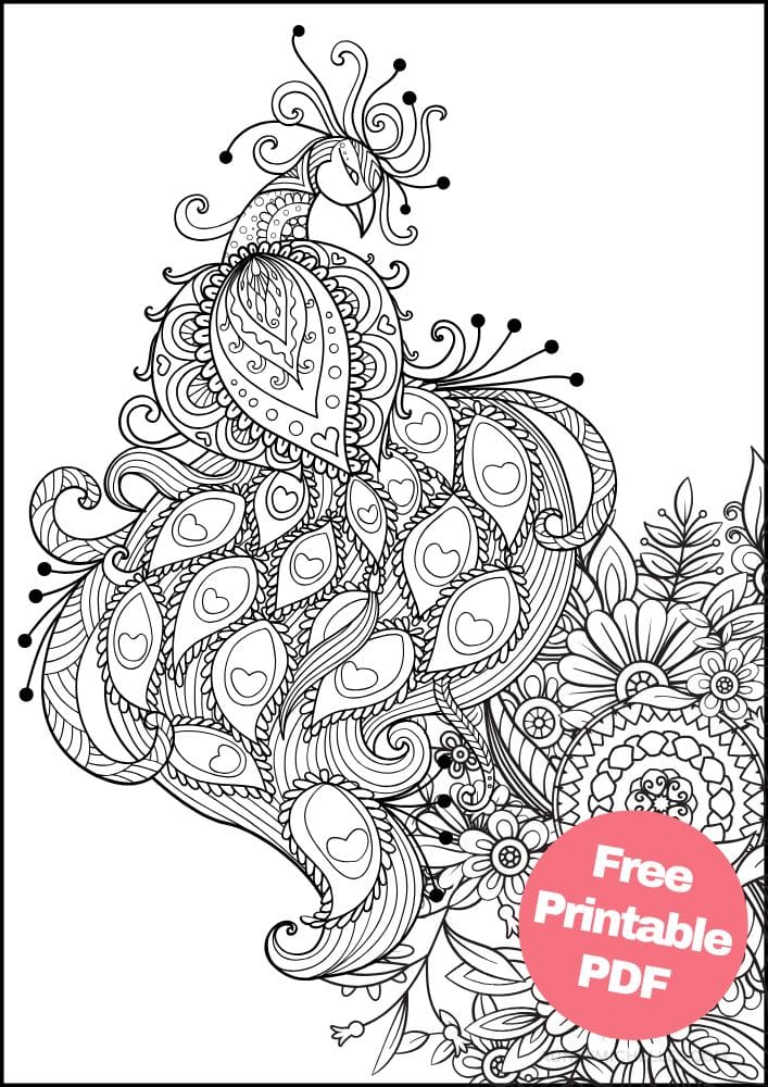 Free Bird Printable Coloring Pages for Adults Colouring Book Mandala Peacock Flowers Hearts