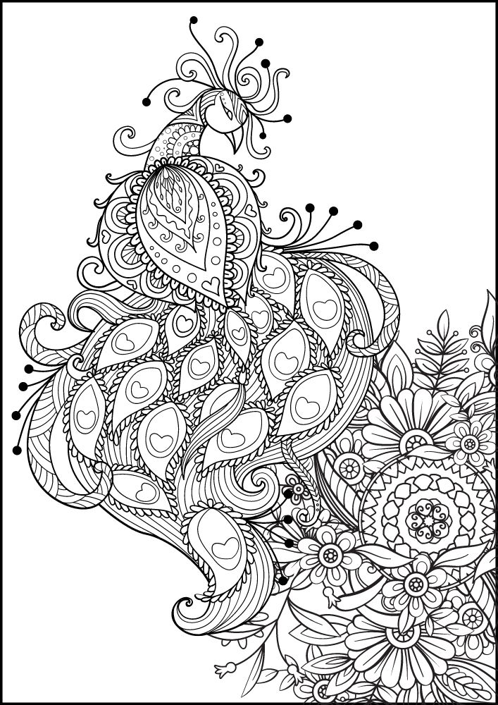 Free Bird Printable Coloring Pages for Adults Colouring Book Mandala Peacock Flowers Hearts