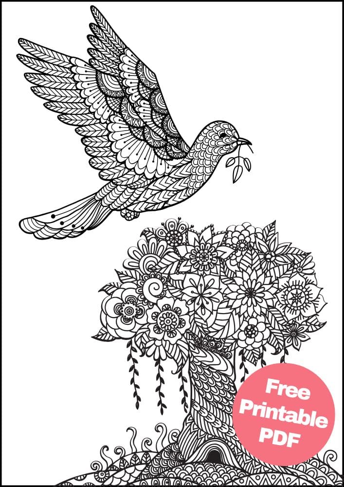 Free Bird Printable Coloring Pages for Adults Colouring Book Mandala Pigeon Flying Tree Flowers Dove