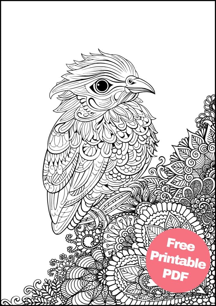 Free Bird Printable Coloring Pages for Adults Colouring Book Mandala Sparrow Heart Cute Baby Bird Flowers