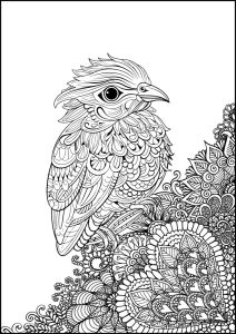 Free Bird Mandala Printable Coloring Pages for Adults - Aunty Michelle's