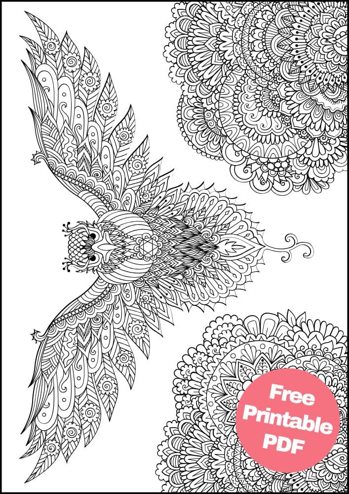 Free Bird Printable Coloring Pages for Adults Colouring Book Mandala falcon trees flowers flying