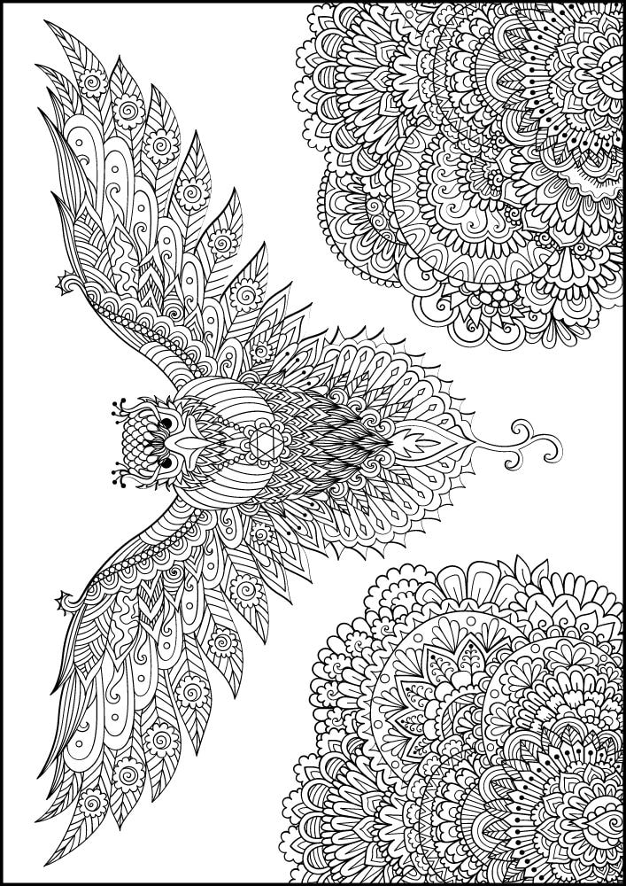 Free Bird Printable Coloring Pages for Adults Colouring Book Mandala falcon trees flowers flying