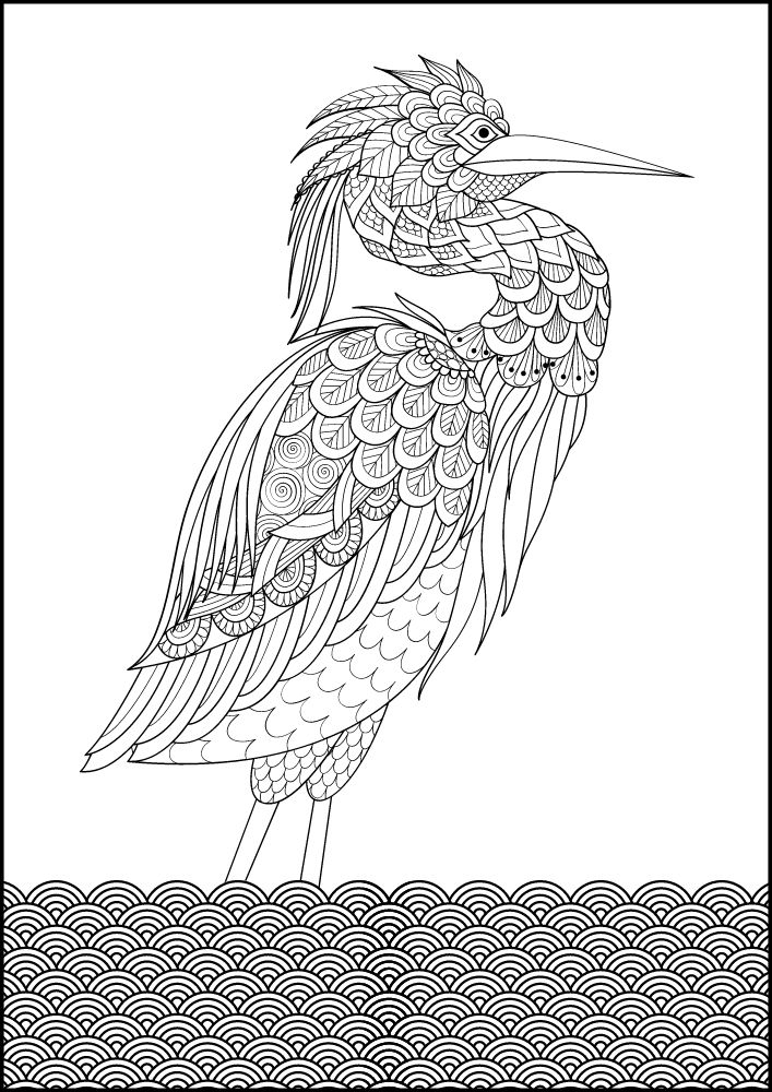 Free Bird Printable Coloring Pages for Adults Colouring Book Mandala gray heron water wading standing