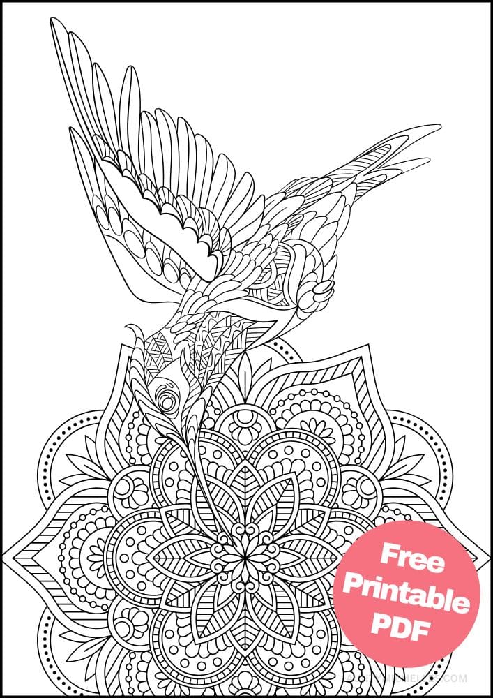 Free Bird Printable Coloring Pages for Adults Colouring Book Mandala humming bird hummingbird flower flying
