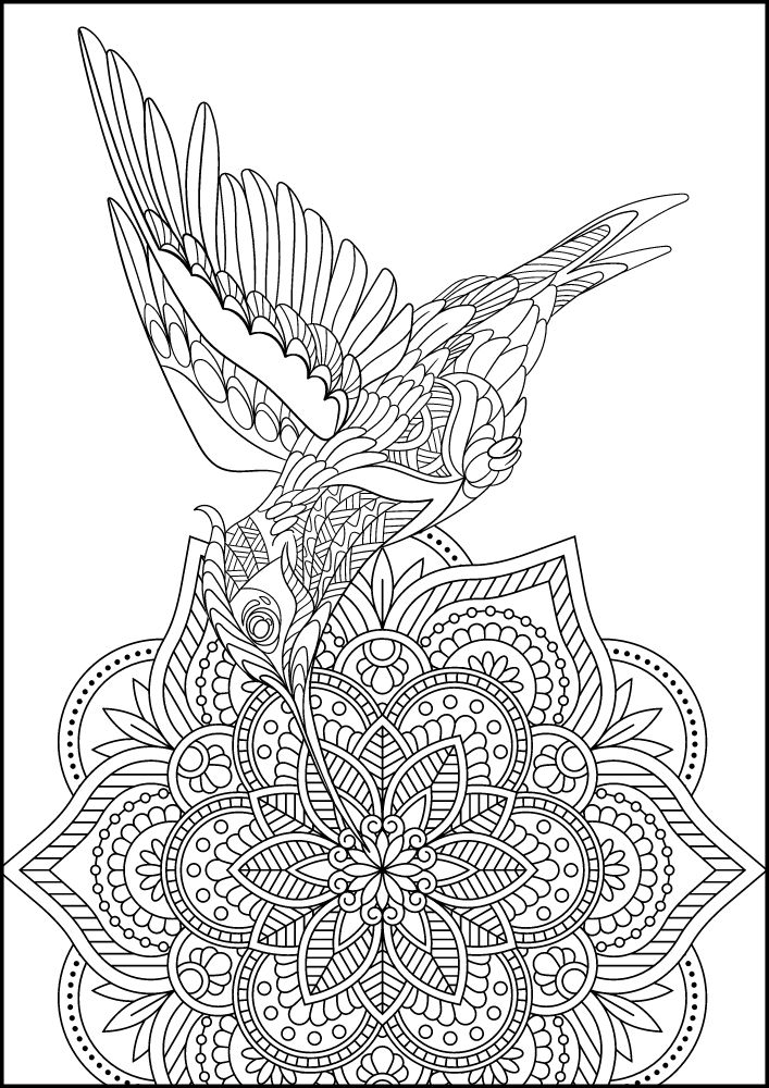 Free Bird Printable Coloring Pages for Adults Colouring Book Mandala humming bird hummingbird flower flying