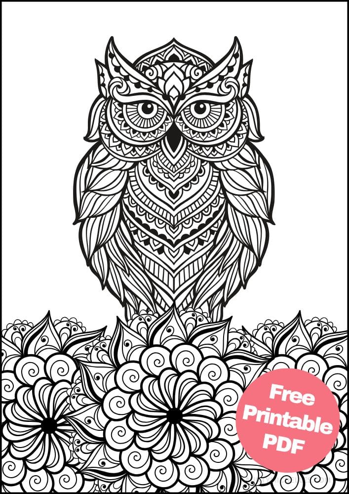 Free Bird Printable Coloring Pages for Adults Colouring Book Mandala owl flowers bold