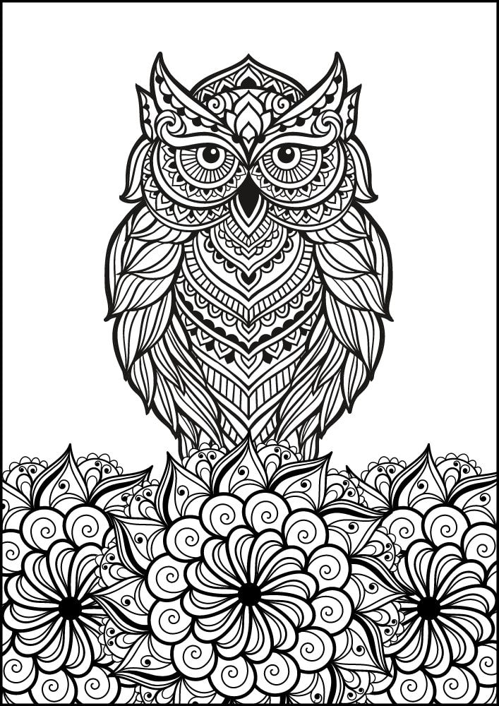 Free Bird Printable Coloring Pages for Adults Colouring Book Mandala owl flowers bold