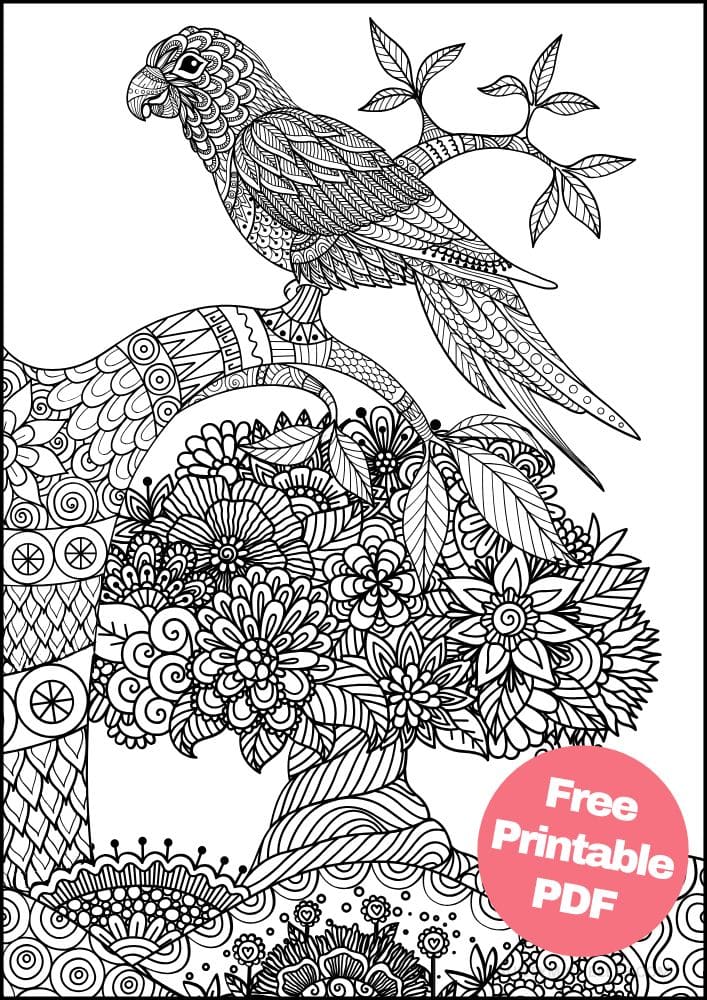 Free Bird Printable Coloring Pages for Adults Colouring Book Mandala parrot tree flowers grass