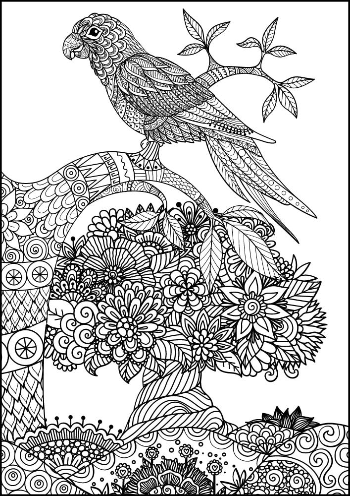 Free Bird Printable Coloring Pages for Adults Colouring Book Mandala parrot tree flowers grass