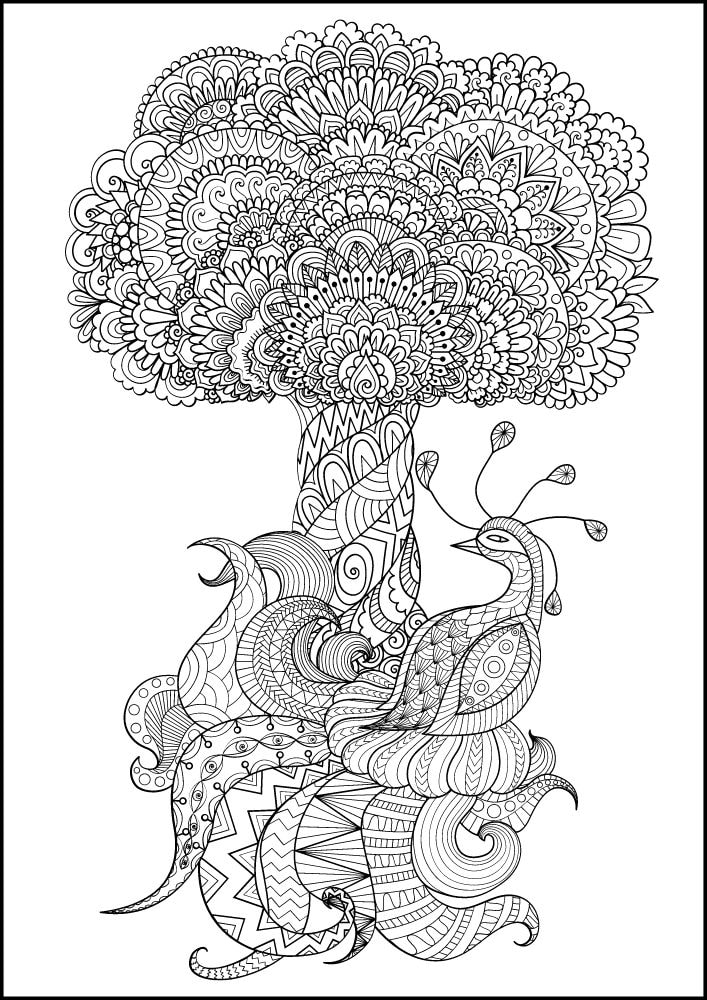 Free Bird Printable Coloring Pages for Adults Colouring Book Mandala peacock tree flowers