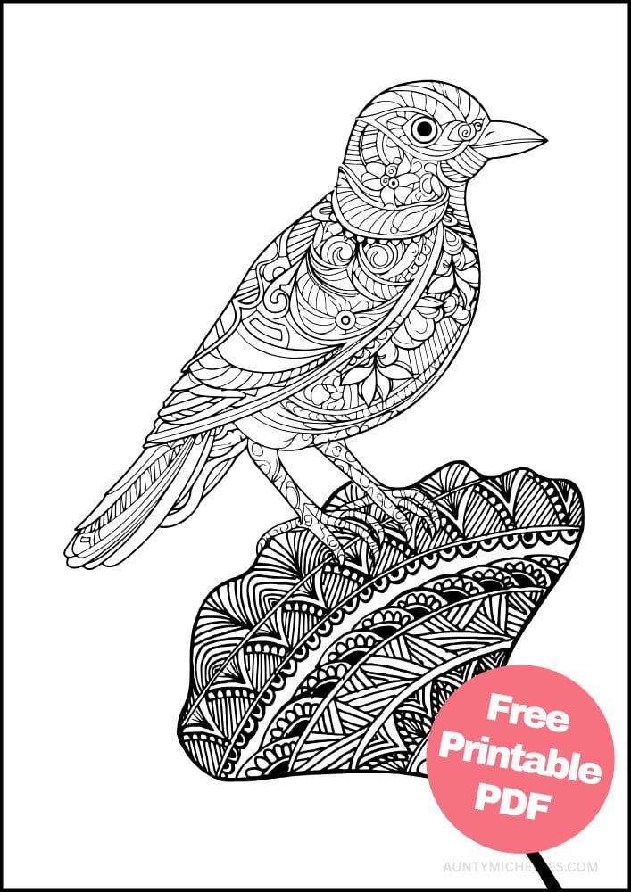 Free Bird Printable Coloring Pages for Adults Colouring Book Mandala sparrow robin chickadee flower leaf
