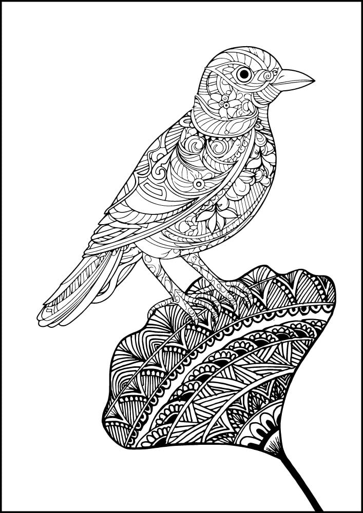 Free Bird Printable Coloring Pages for Adults Colouring Book Mandala sparrow robin chickadee flower leaf