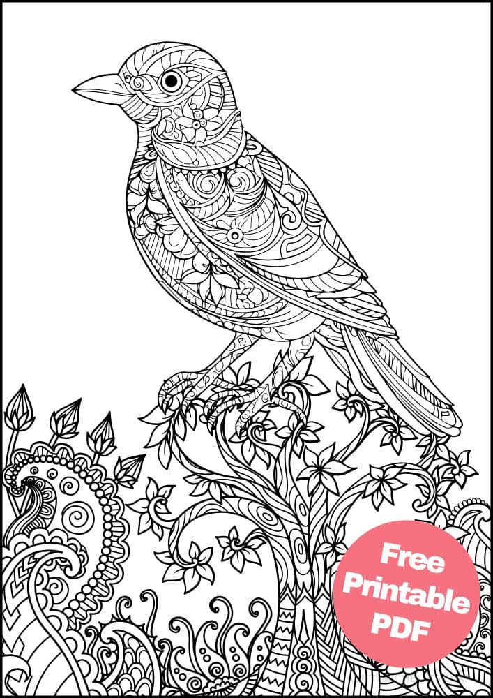 Free Bird Printable Coloring Pages for Adults Colouring Book Mandala sparrow robin chickadee tree flower paisley