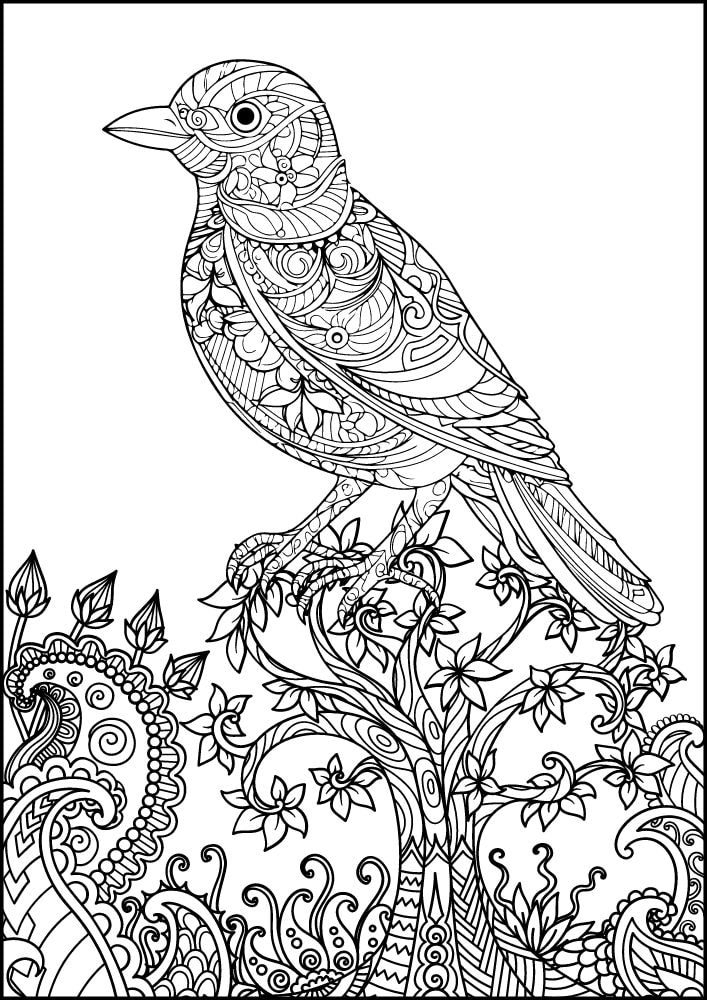 Free Bird Printable Coloring Pages for Adults Colouring Book Mandala sparrow robin chickadee tree flower paisley