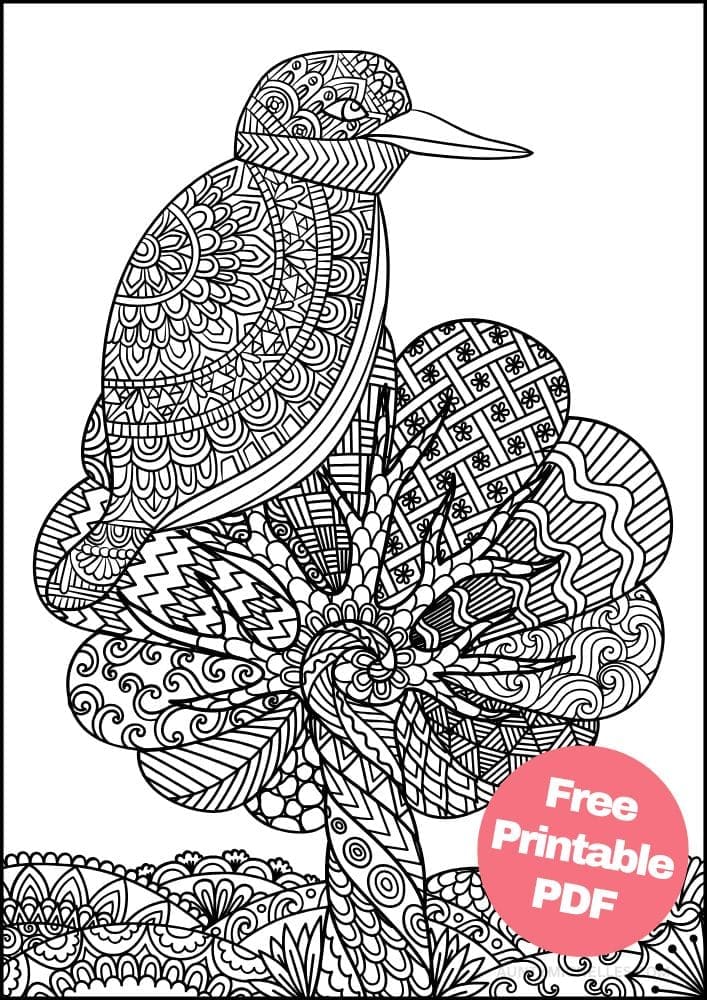 Free Bird Printable Coloring Pages for Adults Colouring Book Mandala sparrow robin chickadee tree grass