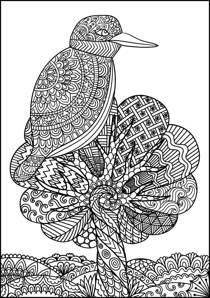 Free Bird Printable Coloring Pages for Adults Colouring Book Mandala sparrow robin chickadee tree grass