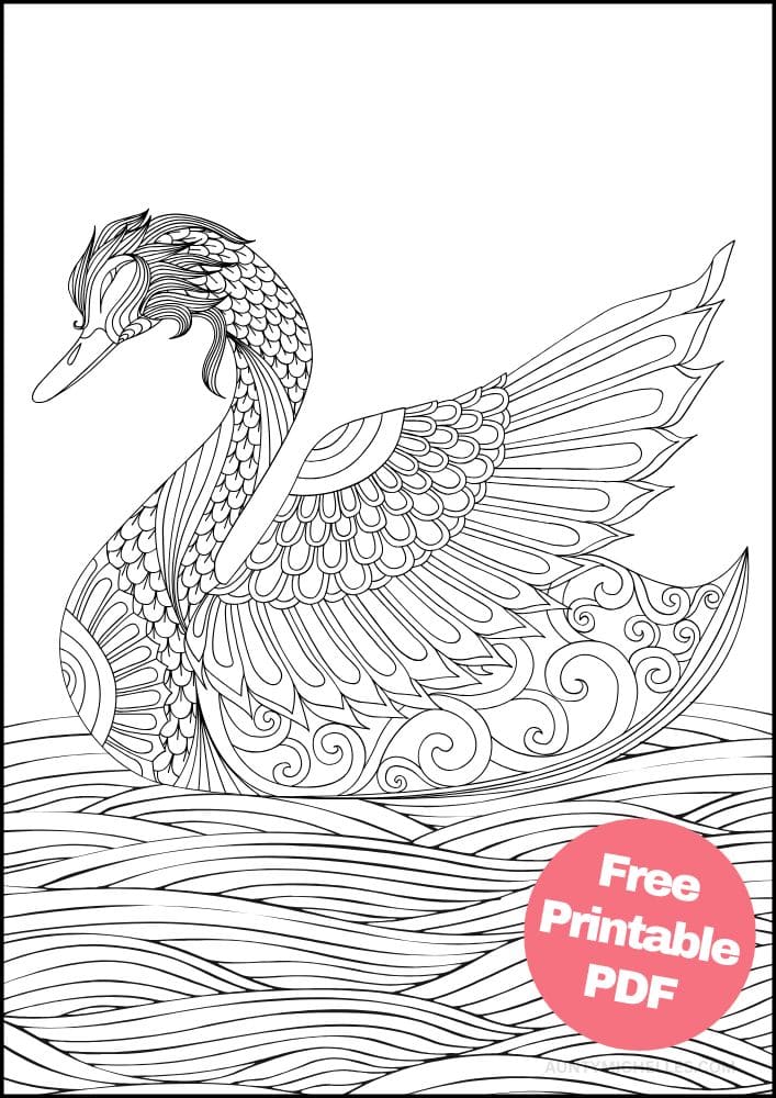 Free Bird Printable Coloring Pages for Adults Colouring Book Mandala swan water waves
