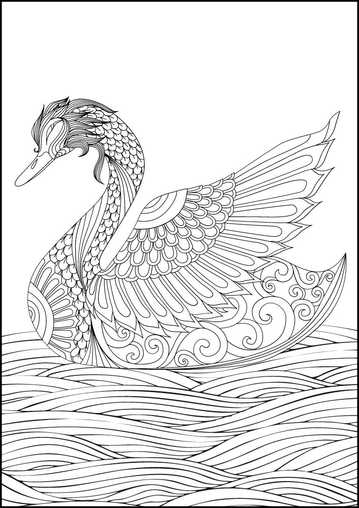 Free Bird Printable Coloring Pages for Adults Colouring Book Mandala swan water waves