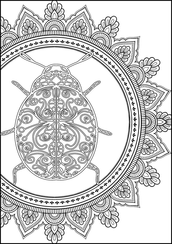 Free Insect Mandala Printable Coloring Pages for Adults Colouring Book Meditation Mindful Mindfulness Bug beetle circle boarder animal