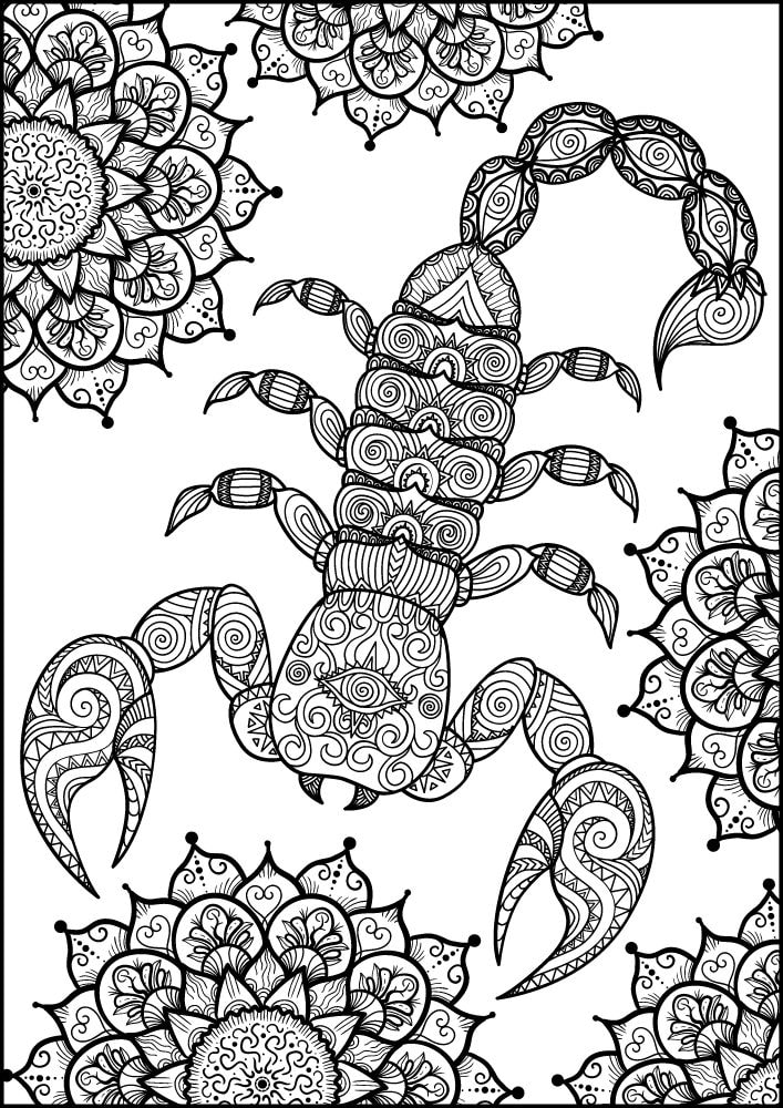 Free Insect Mandala Printable Coloring Pages for Adults Colouring Book Meditation Mindful Mindfulness Bug scorpion scorpio cactus succulent desert animal