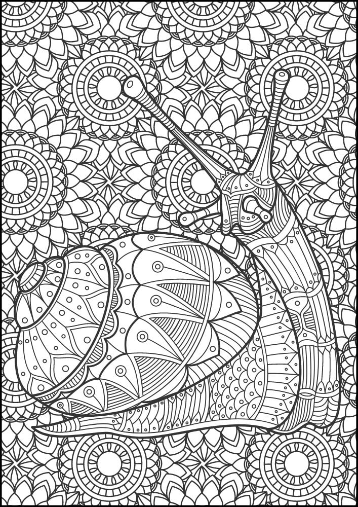 Free Insect Mandala Printable Coloring Pages for Adults Colouring Book Meditation Mindful Mindfulness Bug slug snail shell animal