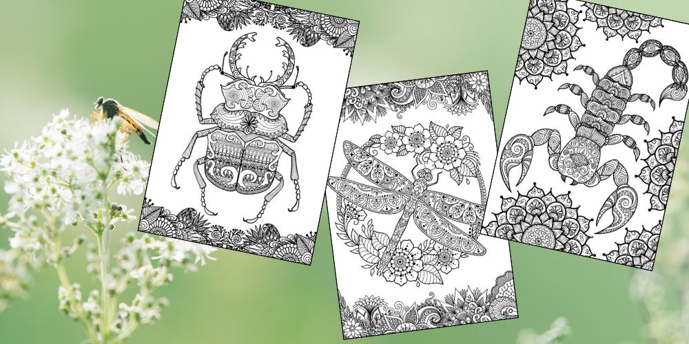 Free Insect Mandala Printable Coloring Pages for Adults Feature