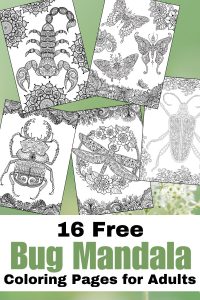 Free Insect Mandala Printable Coloring Pages for Adults pinterest pin