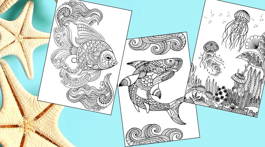 Free Ocean Animals Coloring Pages for Adults Feature