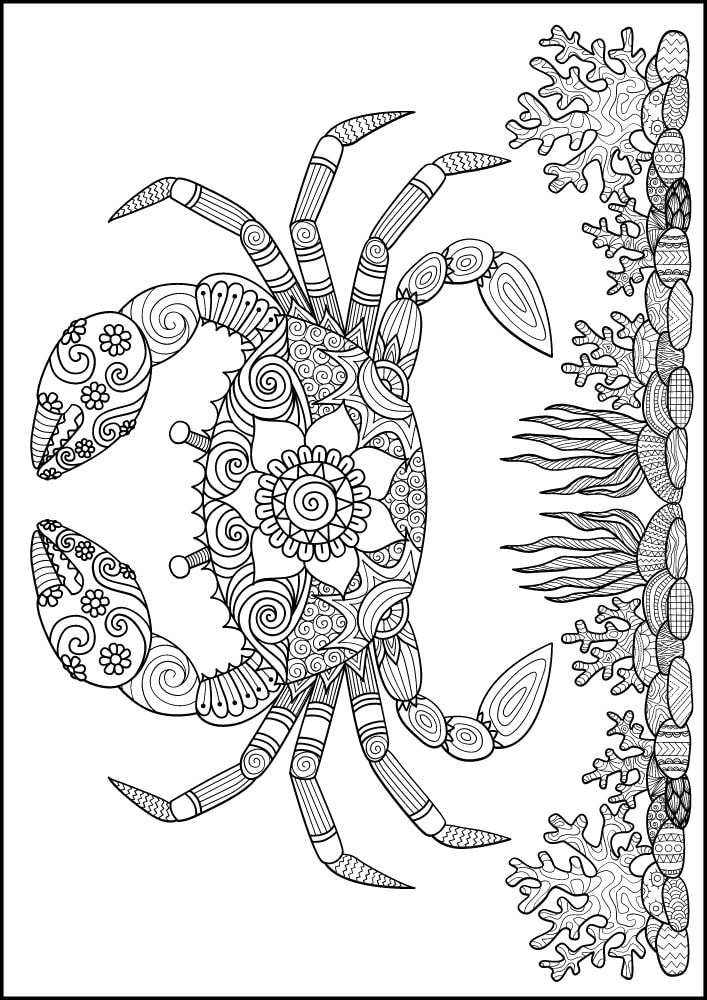 Free ocean animals coloring pages for adults printables colouring book pdf download sea life aquatic 8 mandala crab coral reef rocks