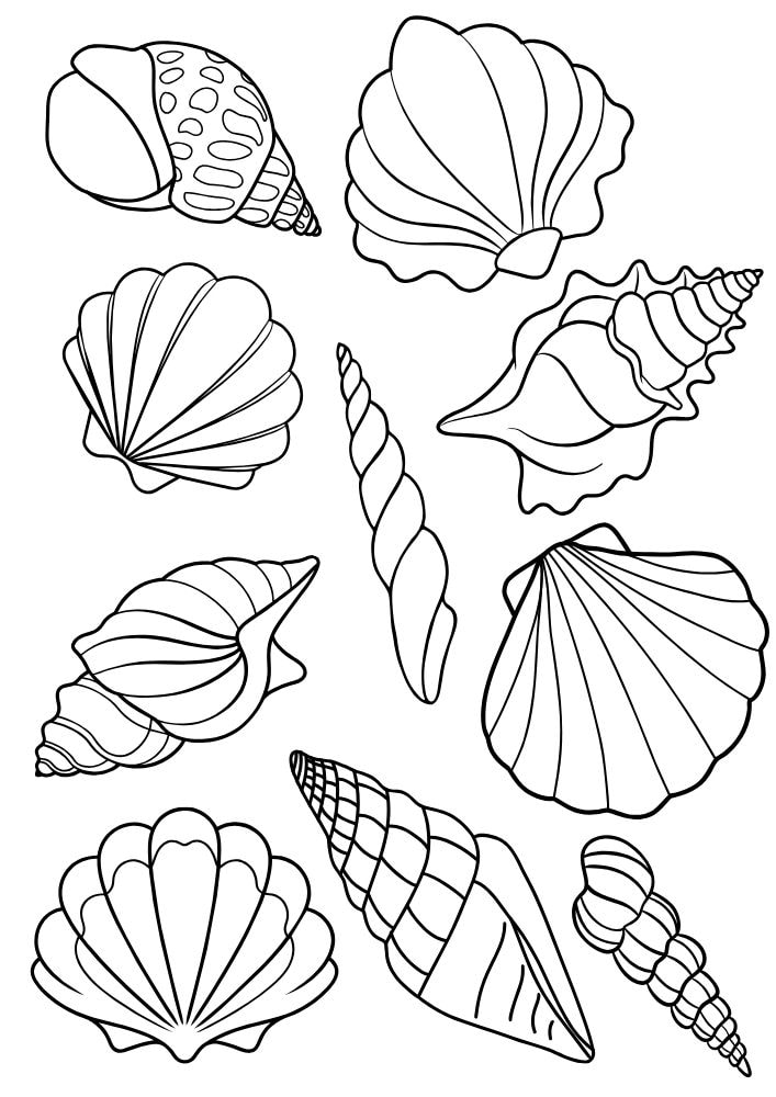 Free printable summer coloring pages for kids printables coloring sheets pdf download colouring book June July August warm weather tropical seashell seashells beach vacation 7