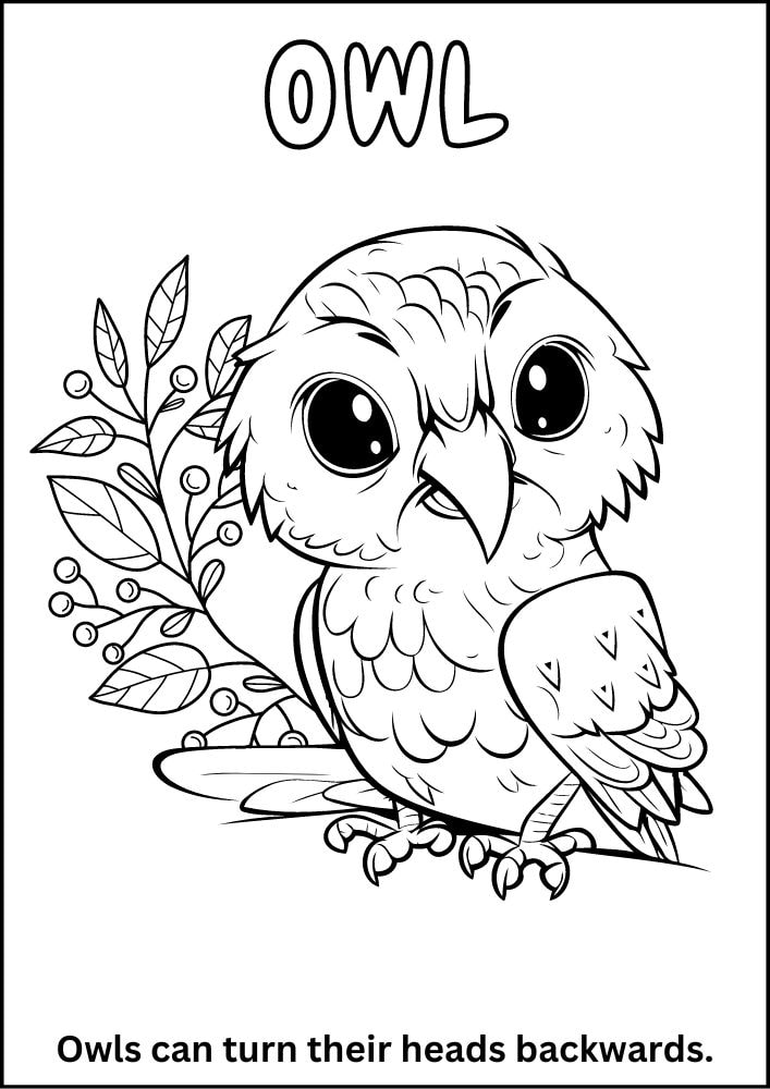 Free printable zoo coloring pages for kids printables coloring sheets pdf download colouring book animal animals wildlife wild life fun fact 14 cute baby owl bird branch