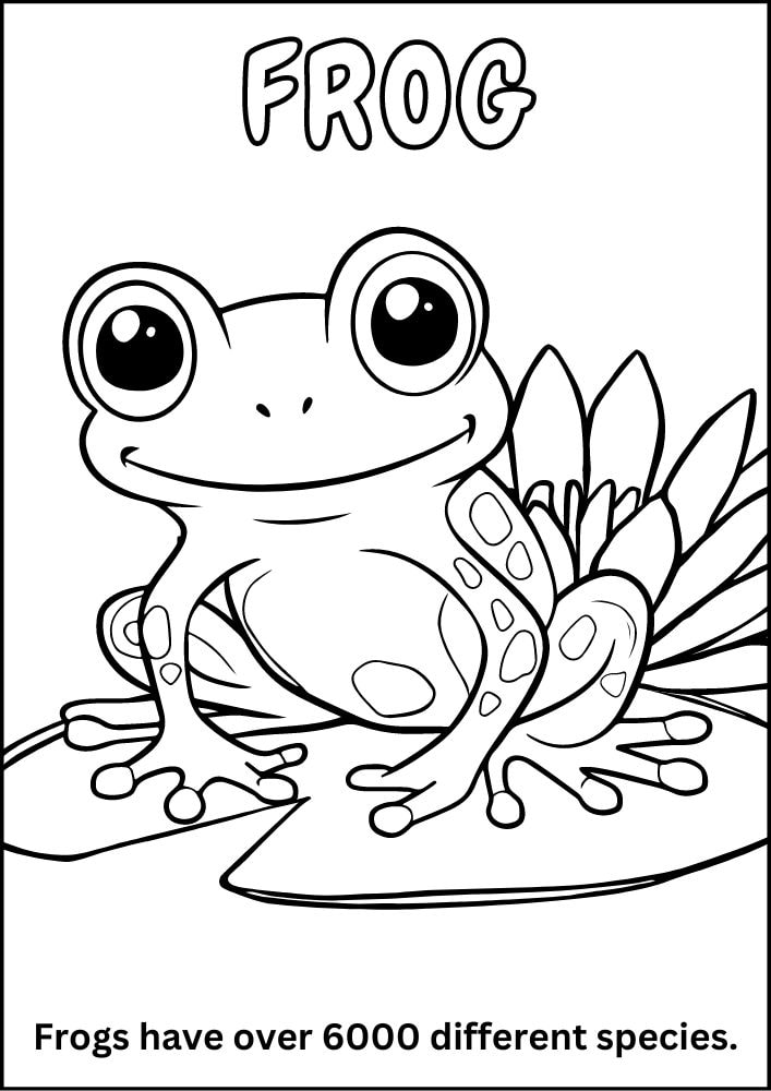 Free printable zoo coloring pages for kids printables coloring sheets pdf download colouring book animal animals wildlife wild life fun fact 20 frog lily pad lilypad reptile amphibian