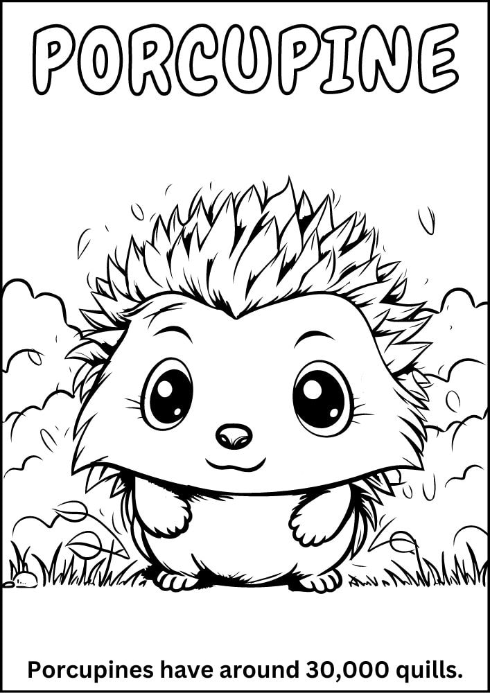 Free printable zoo coloring pages for kids printables coloring sheets pdf download colouring book animal animals wildlife wild life fun fact 9cute baby porcupine bush quills