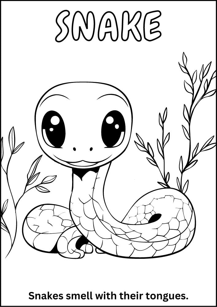 Free printable zoo coloring pages for kids printables coloring sheets pdf download colouring book animal animals wildlife wild life fun fact cute baby snake reptile python anaconda garden cobra 10