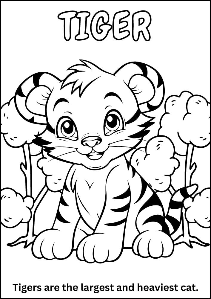 Free printable zoo coloring pages for kids printables coloring sheets pdf download colouring book animal animals wildlife wild life fun fact cute baby tiger stripes asia cat 15