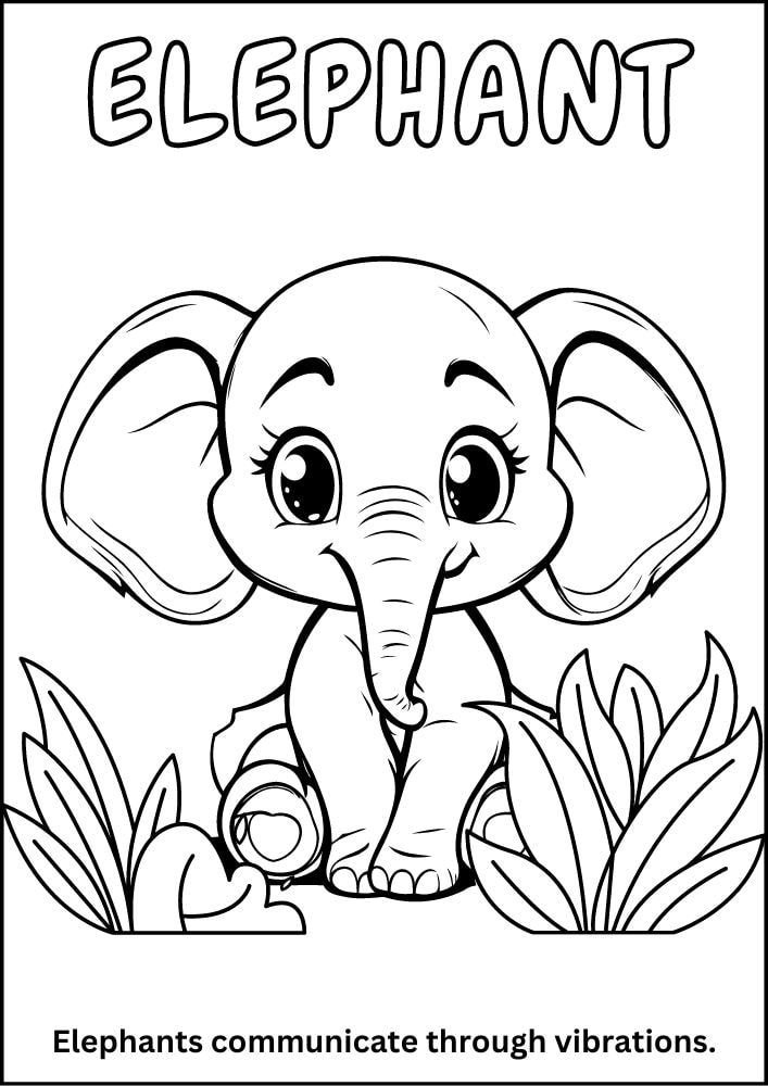 Free printable zoo coloring pages for kids printables coloring sheets pdf download colouring book animal animals wildlife wild life fun fact elephant safari 6 cute baby