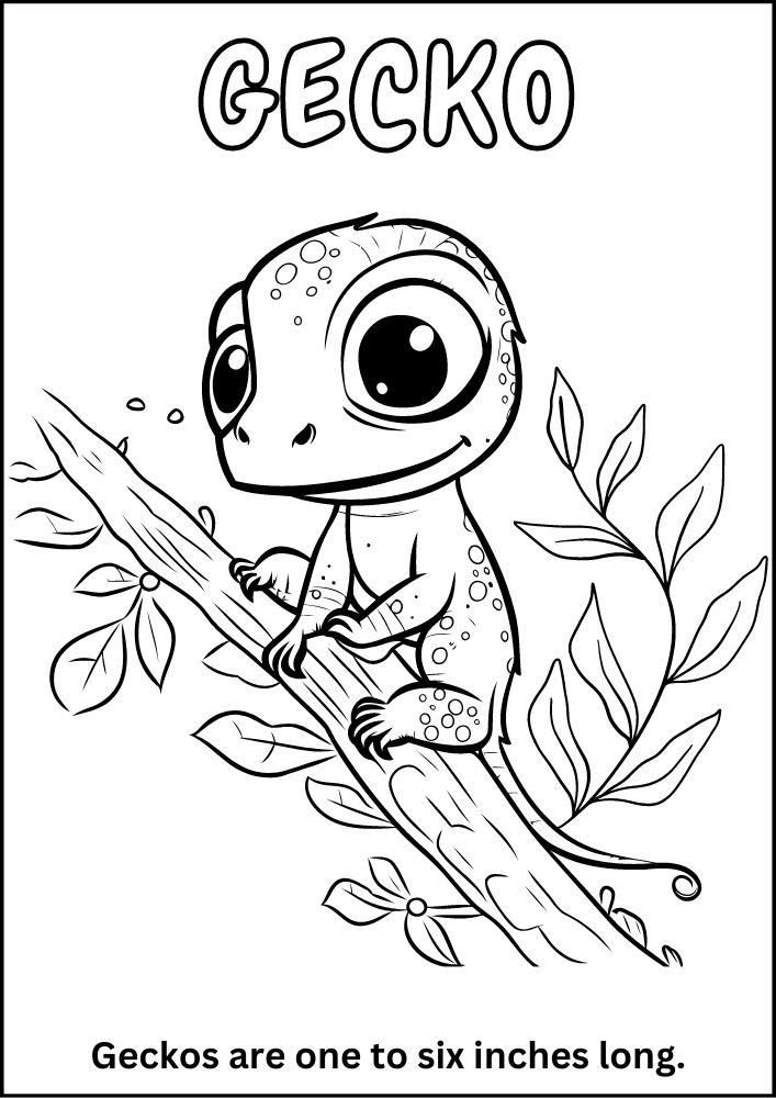 Free printable zoo coloring pages for kids printables coloring sheets pdf download colouring book animal animals wildlife wild life fun fact gecko reptile lizard tree branch 4cute baby