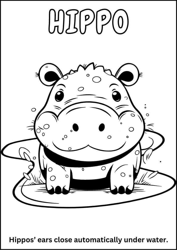 Free printable zoo coloring pages for kids printables coloring sheets pdf download colouring book animal animals wildlife wild life fun fact hipp cute baby pond hippopotamus 8