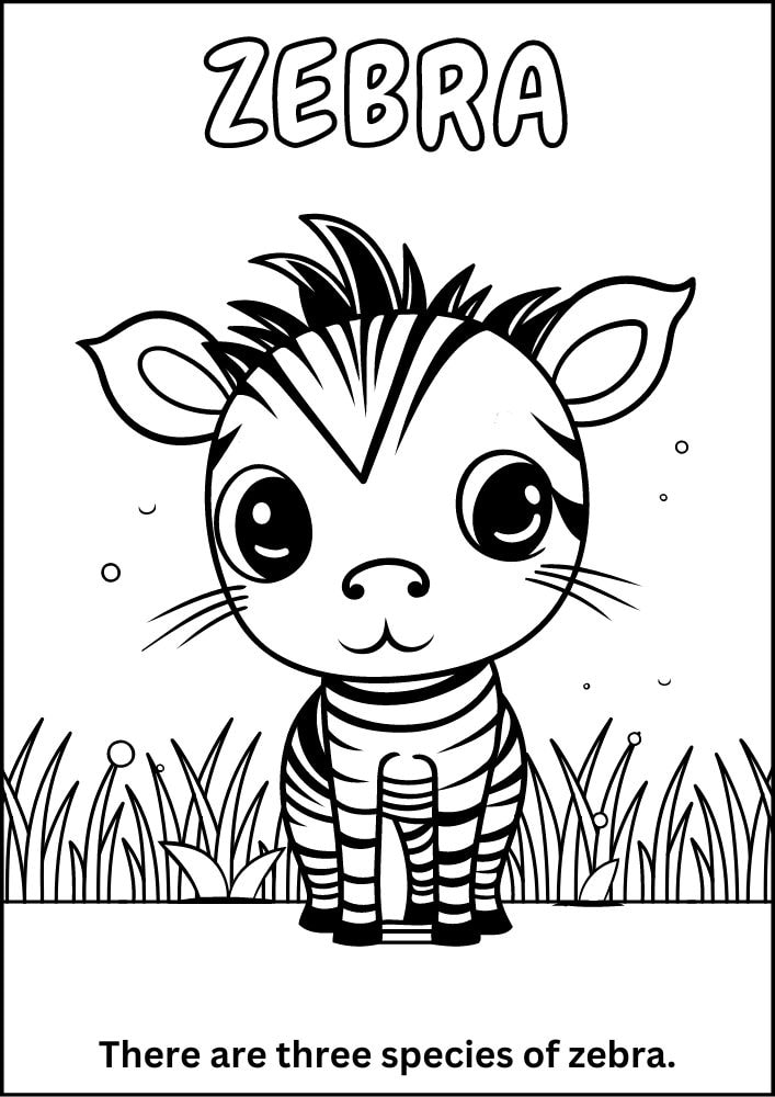 Free printable zoo coloring pages for kids printables coloring sheets pdf download colouring book animal animals wildlife wild life fun fact zebra safari cute baby grassland 12