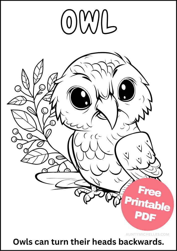 owl coloring page