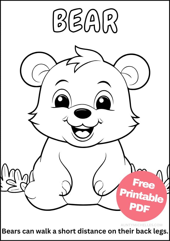 bear coloring page with fun fact
