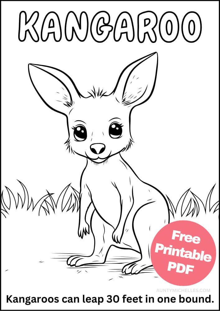 Kangaroo coloring page with fun fact