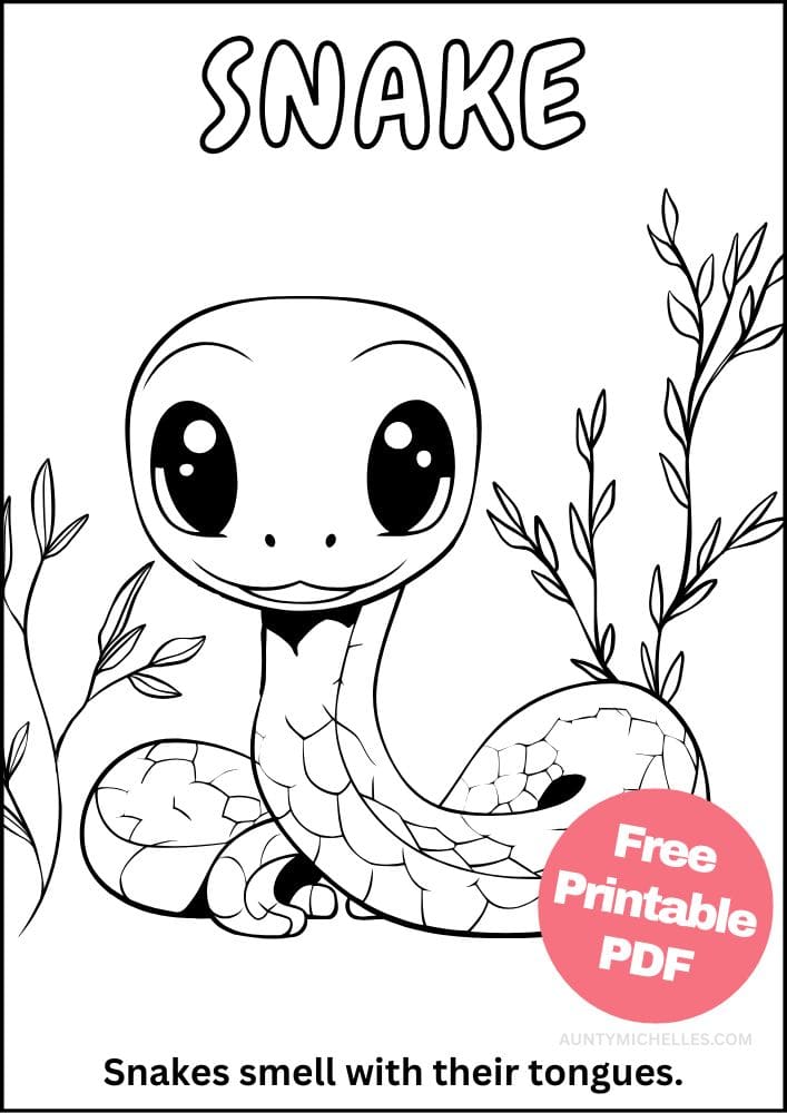 zoo Snake coloring page