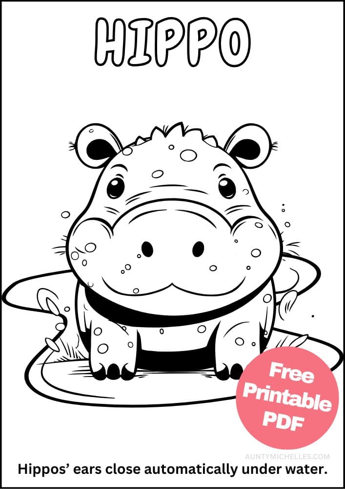 Hippopotamus coloring page with fun fact
